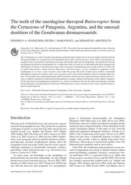 The Teeth of the Unenlagiine Theropod Buitreraptor from the Cretaceous of Patagonia, Argentina, and the Unusual Dentition of the Gondwanan Dromaeosaurids