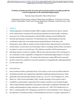 Evolution of Mushroom Body Inversion and Associated Gyriform Neuropils Parallel the Evolved Transposition of the Mammalian Hippocampus