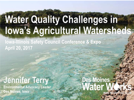Water Quality Challenges in Iowa's Agricultural Watersheds
