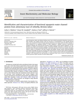 Identification and Characterization of Functional Aquaporin Water Channel