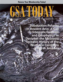 Subduction Polarity in Ancient Arcs