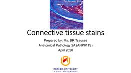 Connective Tissue Stains Prepared By: Ms