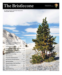 The Bristlecone U.S