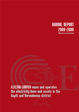 ANNUAL REPORT 2008-2009 Electra Limited