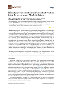 Biocatalytic Synthesis of Natural Green Leaf Volatiles Using the Lipoxygenase Metabolic Pathway