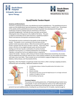 Quad/Patella Tendon Repair