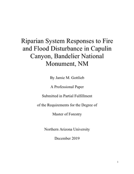 Riparian System Responses to Fire and Flood Disturbance in Capulin Canyon, Bandelier National Monument, NM