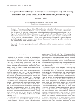 A New Genus of the Subfamily Zelotinae (Araneae: Gnaphosidae), with Descrip- Tions of Two New Species from Amami-Ōshima Island, Southwest Japan