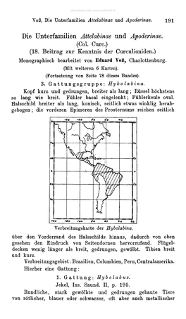 Die Unterfamilien Attelabinae Und Apoderinae. Eduard