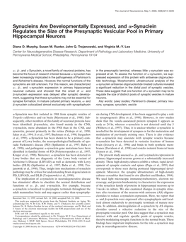 Synucleins Are Developmentally Expressed, and Α-Synuclein Regulates the Size of the Presynaptic Vesicular Pool in Primary Hippo