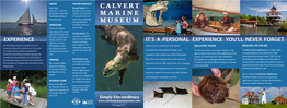 Calvert Marine Museum