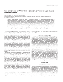 Two New Species of Ascarophis (Nematoda: Cystidicolidae) in Marine Fishes from Chile