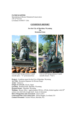 Condition Report on Komainu for Sheridan Wyoming