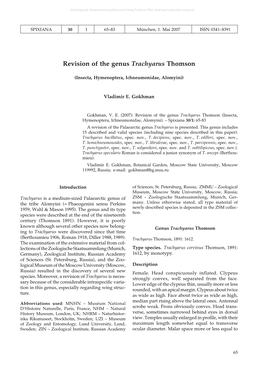 Revision of the Genus Trachyarus Thomson