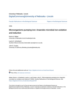 Anaerobic Microbial Iron Oxidation and Reduction