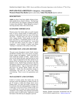 POTATO FLEA BEETLES Coleoptera: Chrysomelidae Western Potato Flea Beetle Epitrix Subcrinita, Tuber Flea Beetle Epitrix Tuberis ______DESCRIPTION