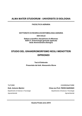 Università Di Bologna Studio Del Ginandromorfismo
