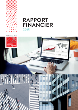 Rapport Financier 2015