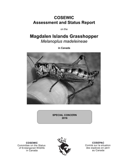 Magdalen Islands Grasshopper, Melanoplus Madeleineae, in Canada, Prepared Under Contract with Environment and Climate Change Canada