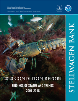 Stellwagen Bank National Marine Sanctuary 2020 Condition Report