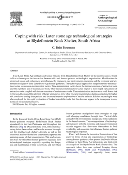 Later Stone Age Technological Strategies at Blydefontein Rock Shelter, South Africa