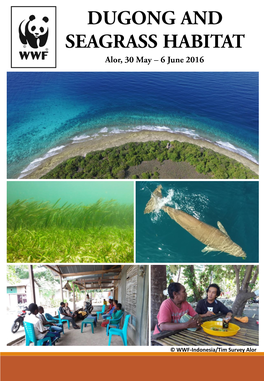 [DUGONG and SEAGRASS HABITAT] Alor 2016