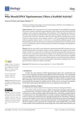 Why Should DNA Topoisomerase I Have a Scaffold Activity?