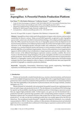 Aspergillus: a Powerful Protein Production Platform