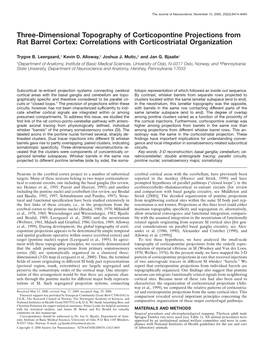 Three-Dimensional Topography of Corticopontine Projections from Rat Barrel Cortex: Correlations with Corticostriatal Organization