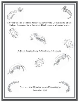 A Study of the Benthic Macroinvertebrate Community of an Urban Estuary