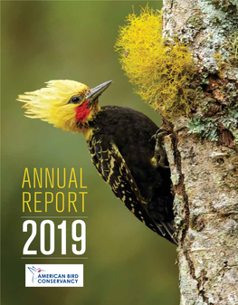 2019 Strategic Bird Conservation Framework