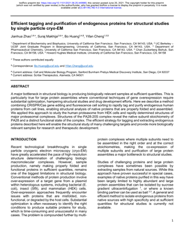 Efficient Tagging and Purification of Endogenous Proteins for Structural Studies by Single Particle Cryo-EM