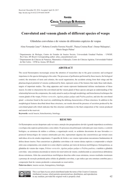 Convoluted and Venom Glands of Different Species of Wasps