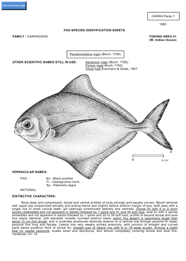 Parastromateus Niger (Bloch, 1795)