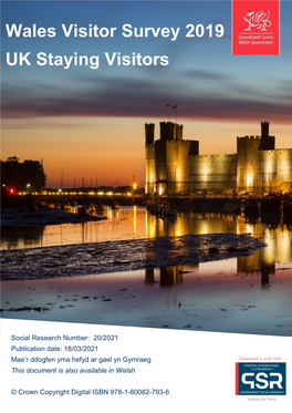 Wales Visitor Survey 2019: UK Staying Visitors , File Type