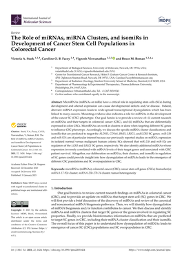 The Role of Mirnas, Mirna Clusters, and Isomirs in Development of Cancer Stem Cell Populations in Colorectal Cancer