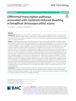 Differential Transcription Pathways Associated