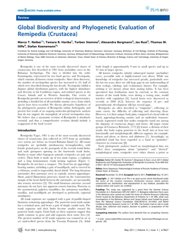 Global Biodiversity and Phylogenetic Evaluation of Remipedia (Crustacea)