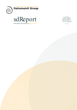 Sdreport Sustainable Development Report 2007 Italy France/Belgium China North America