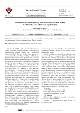 Pseudamnicola Sumbasensis Sp. Nov., a New Species from Turkey (Gastropoda: Truncatelloidea: Hydrobiidae)