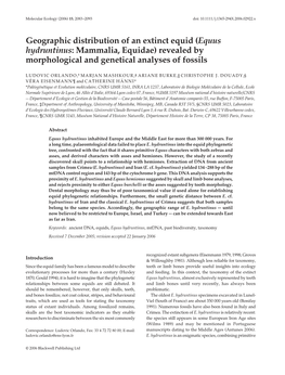 Equus Hydruntinus: Mammalia, Equidae) Revealed by Morphological and Genetical Analyses of Fossils