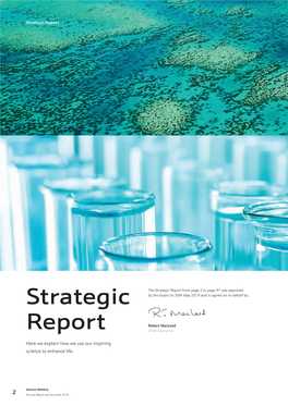 Strategic Report