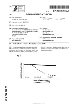 Method for the Selection of Antibodies Against BCMA