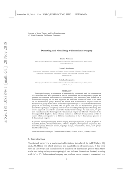 Detecting and Visualizing 3-Dimensional Surgery