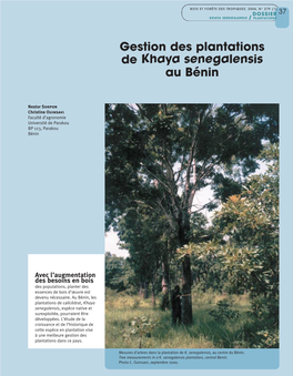 Gestion Des Plantations De Khaya Senegalensis Au Bénin