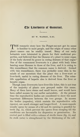 Watson, W, the Liverworts of Somerset, Part II, Volume 66