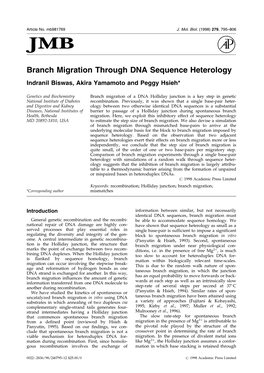 Branch Migration Through DNA Sequence Heterology Indranil Biswas, Akira Yamamoto and Peggy Hsieh*