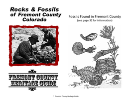 Rocks & Fossils