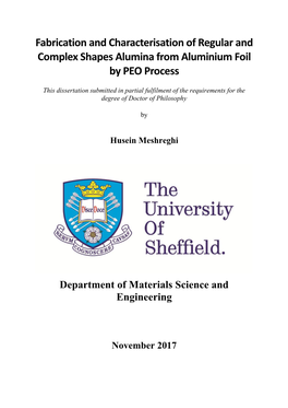 Fabrication and Characterisation of Regular and Complex Shapes Alumina from Aluminium Foil by PEO Process