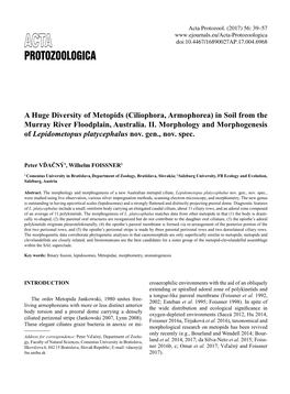 A Huge Diversity of Metopids (Ciliophora, Armophorea) in Soil from the Murray River Floodplain, Australia